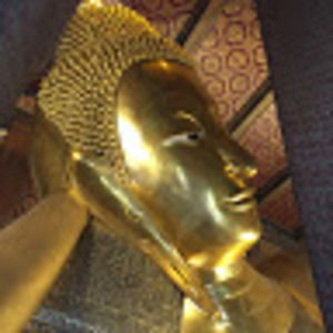 Meet your Posher, Ann